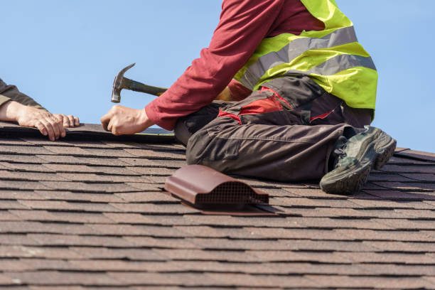 Best Metal Roofing Contractor  in Heyworth, IL