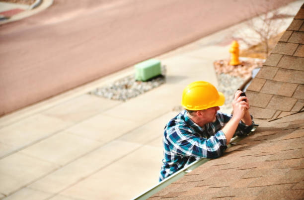 Best Roof Gutter Cleaning  in Heyworth, IL