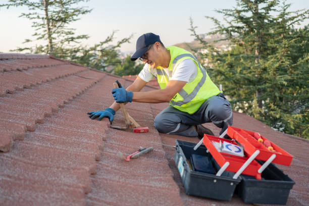 Best Roof Repair Services  in Heyworth, IL