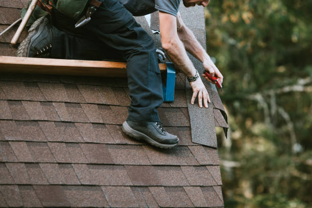 Roof Gutter Cleaning in Heyworth, IL